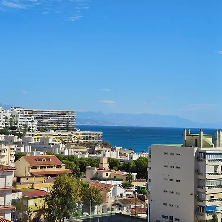 Florido * توريمولينوس